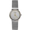 Часы наручные Skagen 355SGSC
