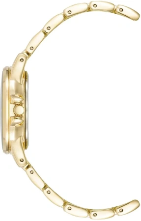 Часы наручные Anne Kltin AK/4132RAGB