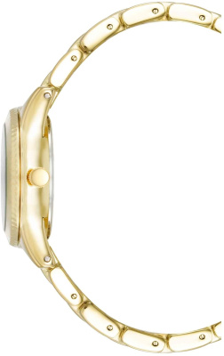 Часы наручные Anne Klein AK/5040BKGB