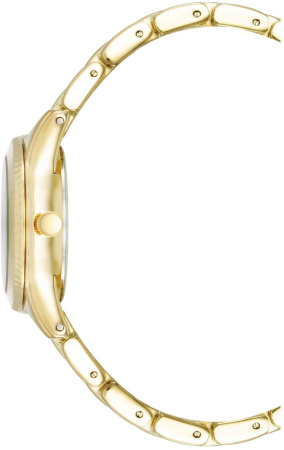 Часы наручные Anne Klein AK/5040BKGB