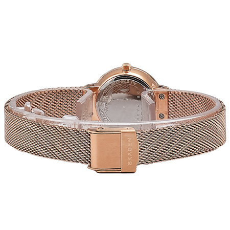 Часы наручные Skagen SKW2799