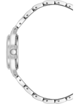 Часы наручные Anne Klein 10/5491MPSV