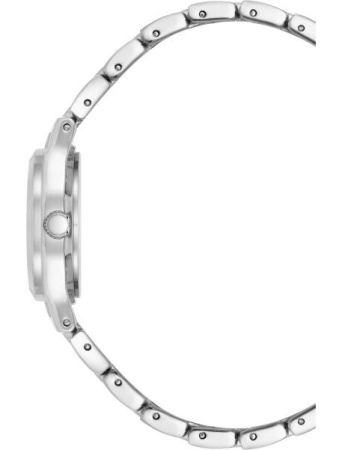 Часы наручные Anne Klein 10/5491MPSV