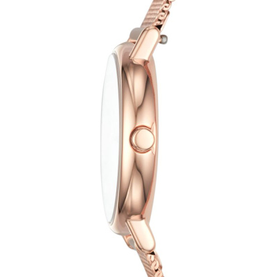 Часы наручные Skagen SKW2694 