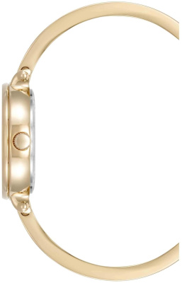 Часы наручные Anne Klein AK/5116ABST