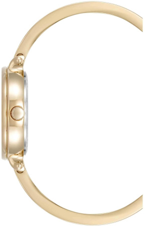Часы наручные Anne Klein AK/5116ABST