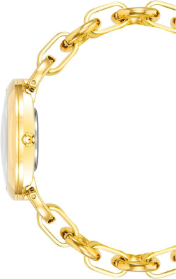 Часы наручные Anne Klein AK/4092BKGB
