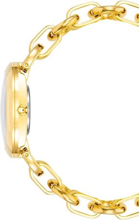 Часы наручные Anne Klein AK/4092BKGB