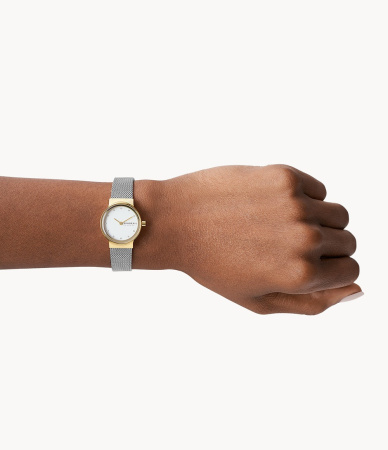 Часы наручные Skagen SKW2666 