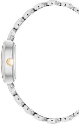 Часы наручные Anne Klein AK/5123MPTT