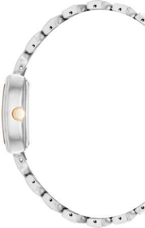 Часы наручные Anne Klein AK/5123MPTT Часы наручные Anne Klein AK/5123MPTT