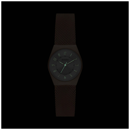 Часы наручные Skagen SKW3035 
