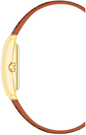 Часы наручные Anne Klein AK/5056GPHY