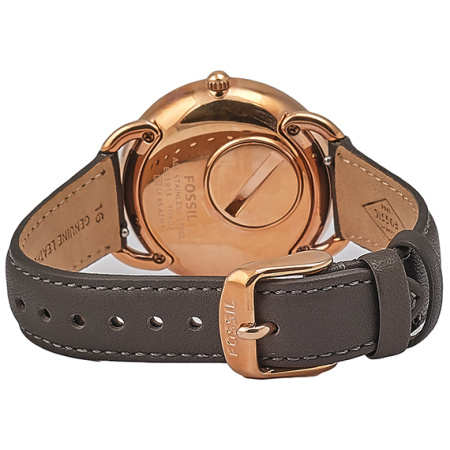 Часы наручные Fossil ES3913 Часы наручные Fossil ES3913