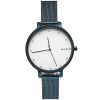 Часы наручные Skagen SKW2579 Часы наручные Skagen SKW2579