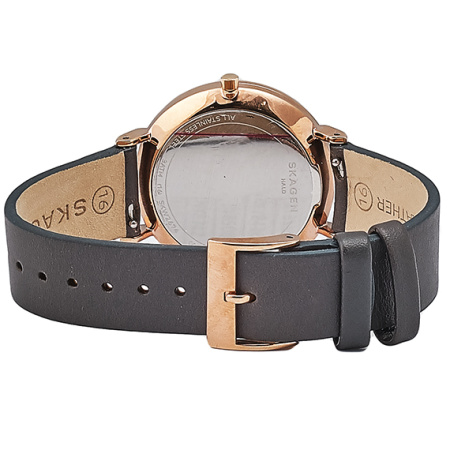 Часы наручные Skagen SKW2674