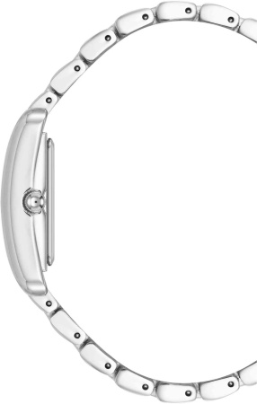 Часы наручные Anne Klein AK/5061SVSV