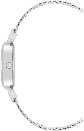 Часы наручные Anne Klein AK/4023MPSV