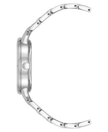 Часы наручные Anne Klein AK/4013WTSV