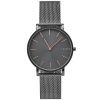 Часы наручные Skagen SKW6445 Часы наручные Skagen SKW6445