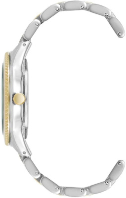 Часы наручные Anne Klein AK/5043SVTT