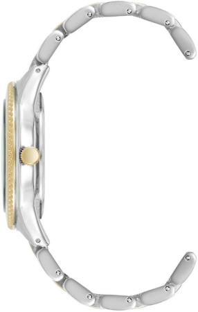 Часы наручные Anne Klein AK/5043SVTT