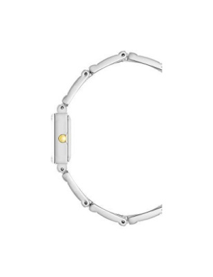 Часы наручные Anne Klein 10/4899GTST