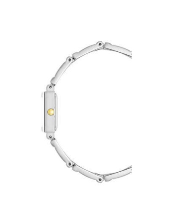 Часы наручные Anne Klein 10/4899GTST