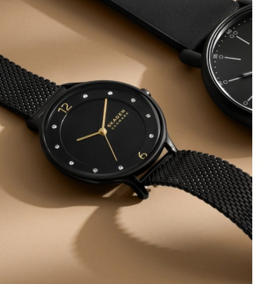 Часы наручные Skagen SKW3112
