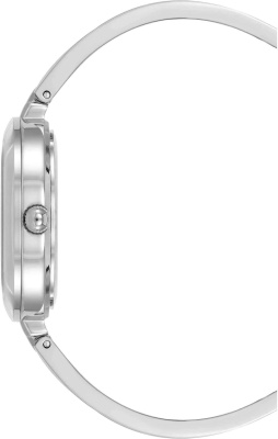 Часы наручные Anne Klein AK/5111INST