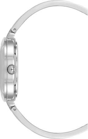 Часы наручные Anne Klein AK/5111INST