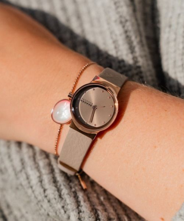 Часы наручные Skagen SKW3005 Часы наручные Skagen SKW3005