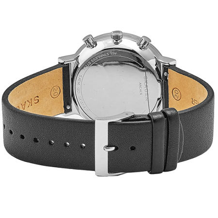 Часы наручные Skagen SKW6417