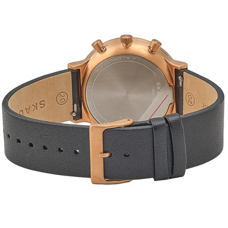 Часы наручные Skagen SKW6371