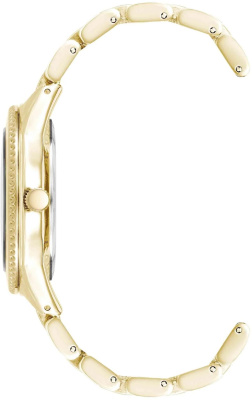 Часы наручные Anne Klein AK/5042BKGB