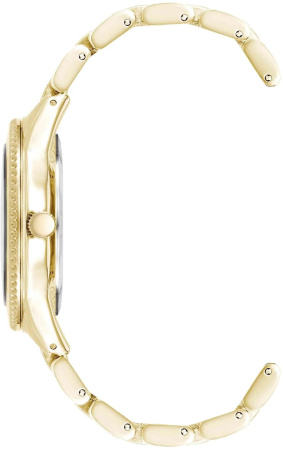 Часы наручные Anne Klein AK/5042BKGB