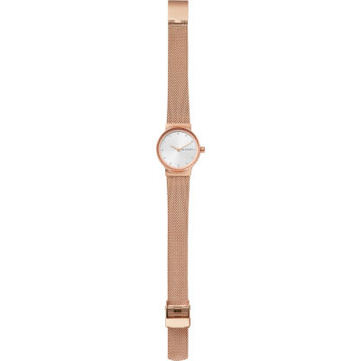Часы наручные Skagen SKW2665 