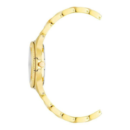 Часы наручные Anne Klein AK/3214YLGB