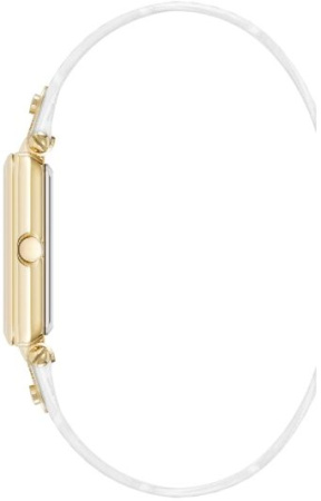 Часы наручные Anne Klein AK/5152SVWT