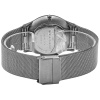 Часы наручные Skagen 233XLTTN Часы наручные Skagen 233XLTTN