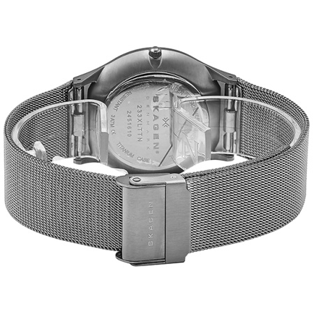 Часы наручные Skagen 233XLTTN Часы наручные Skagen 233XLTTN