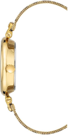 Часы наручные Anne Klein AK/3000LEGB