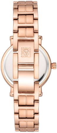 Часы наручные Anne Klein AK/4014WTRG
