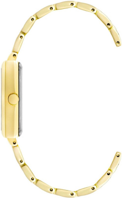 Часы наручные Anne Klein AK/4008SVGB