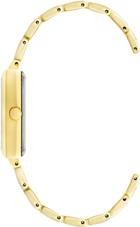 Часы наручные Anne Klein AK/4008SVGB