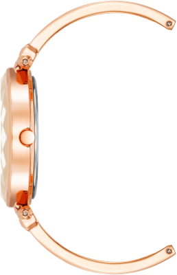 Часы наручные Anne Klein AK/4018BHRG