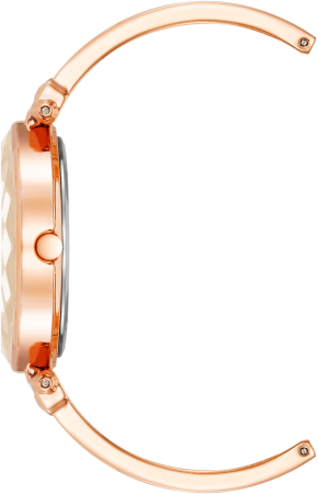 Часы наручные Anne Klein AK/4018BHRG