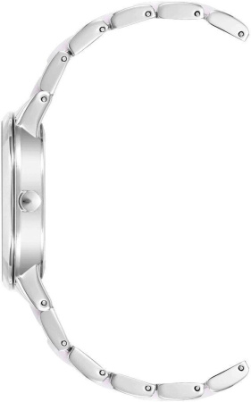 Часы наручные Anne Klein AK/1413IRSV