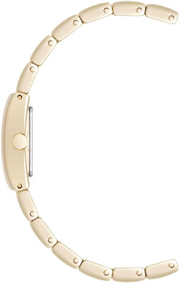 Часы наручные Anne Klein AK/5120TNGB