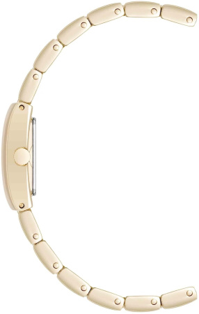 Часы наручные Anne Klein AK/5120TNGB